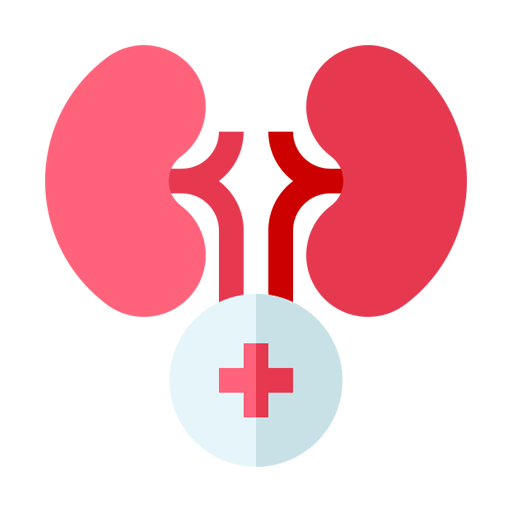 Speciality of Aoli Services